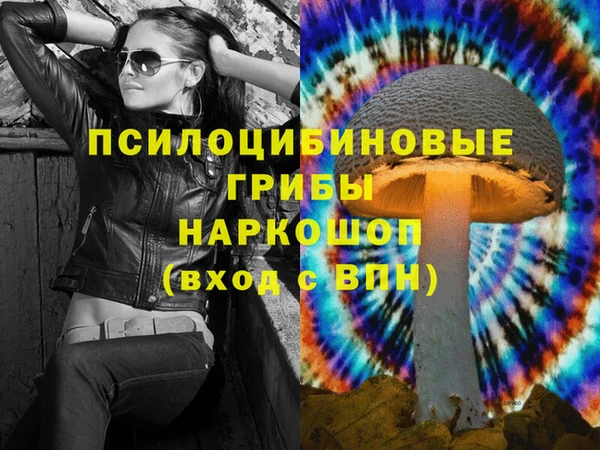 бошки Абаза