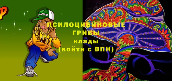 бошки Абаза