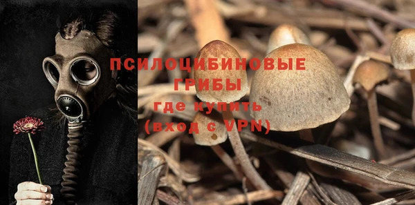 кокаин колумбия Алексин