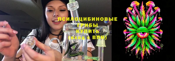бошки Абаза