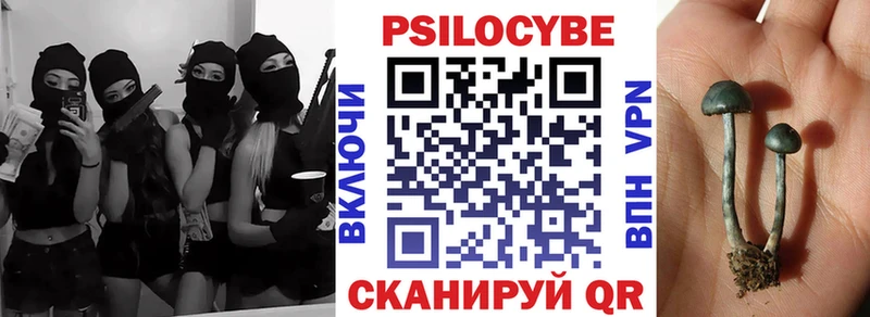 Псилоцибиновые грибы Psilocybe  Лабытнанги 